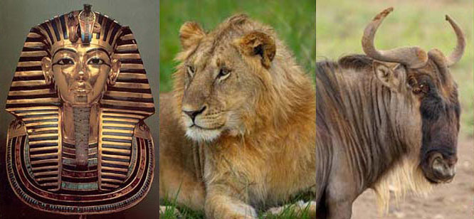 Mask of King Tutankhamun & African Wildlife